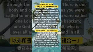 Ephesians 6:1-6 “Unity in the Body of Christ” 以弗所書4:1-6「在基督裡合一」#gospel #福音 #ephesians #以弗所書 #unity