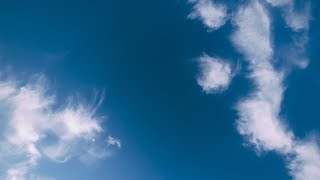 БОГОСЛУЖЕНИЕ онлайн - 25.10.25 / Трансляция Заокская церковь