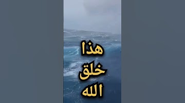 هذا خلق الله فأروني ماذا خلق الذين من دونه…عبد الباسط عبد الصمد…سورة لقمان