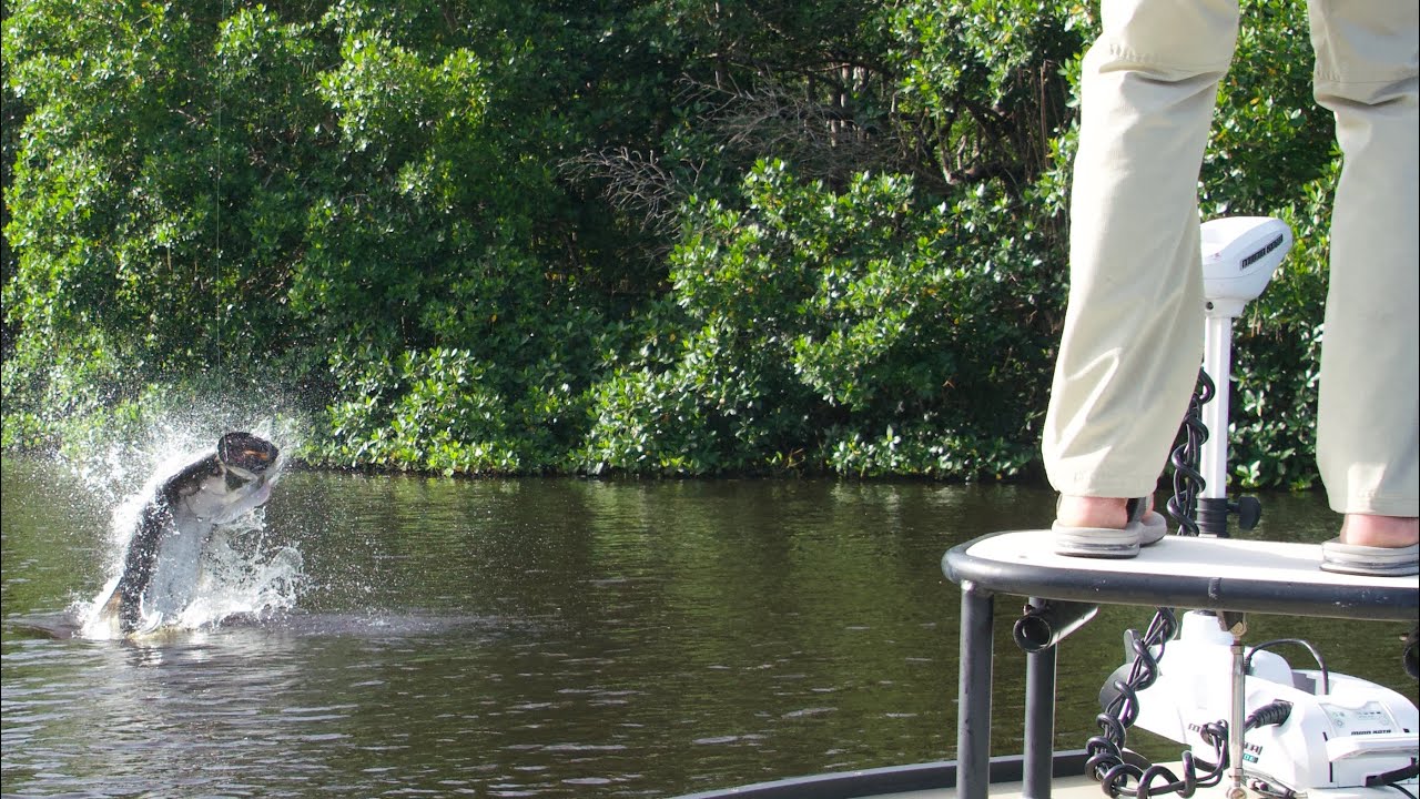 Fishing Florida the RIGHT WAY