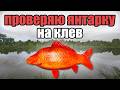 РР4 СТРИМ • КАК ТАМ НА ЯНТАРКЕ ? ПРОВЕРЯЕМ ФАРМ СЕРЕБРА :)  •   РУССКАЯ РЫБАЛКА 4