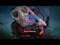Padi discover scuba diving dsd