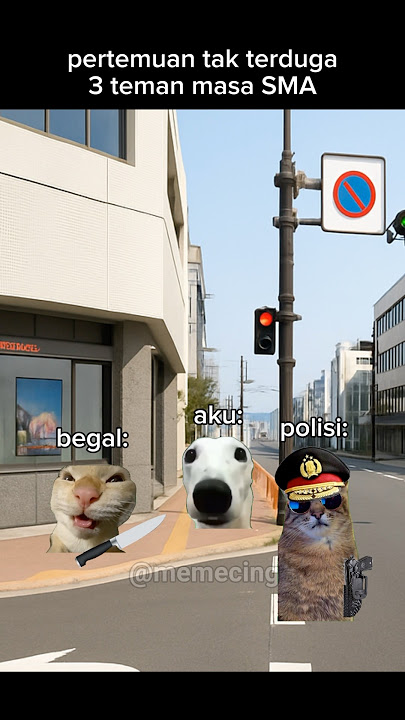 rupanya teman sendiri #meme #memekucing #kucing #kucinglucu #shorts #catlovers