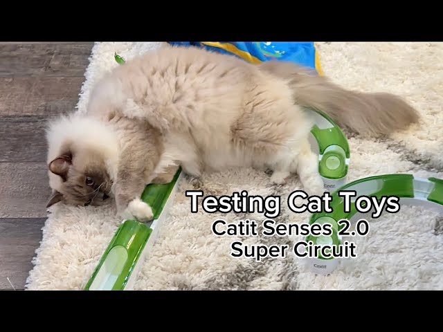 Catit Senses 2.0 Super Circuit – Petland Canada