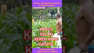 Gantol Di Gawakne Sarapan Ki