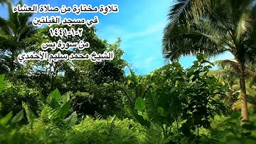 تلاوة مختارة من صلاة العشاء في مسجد القبلتين ٢-١-١٤٤١ من سورة يس  الشيخ محمد سليم الأحمدي