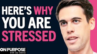 If You Are Constantly Stressed & Filled With Anxiety, Watch This For Peace