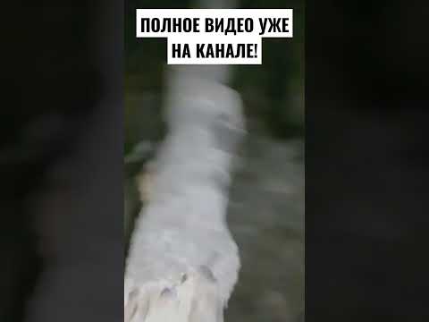 #shorts #youtubeshorts #юмор #приколы #мемы #прикол