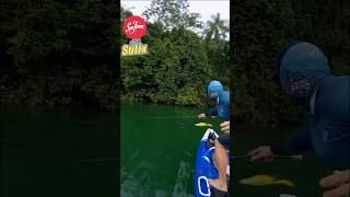 NO ONE is catching these fish… #bass #fishing #bassfishing #shorts