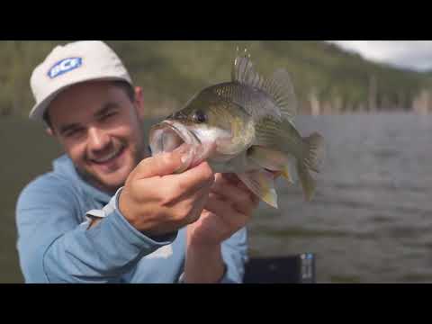 ActiveTarget® 2 vs ActiveTarget® 2 XL: Is the Upgrade Worth It? | Lowrance Live Sonar