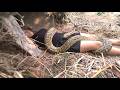 Giant Python Wraps Around Woman in the Wild  Shocking Close Encounter
