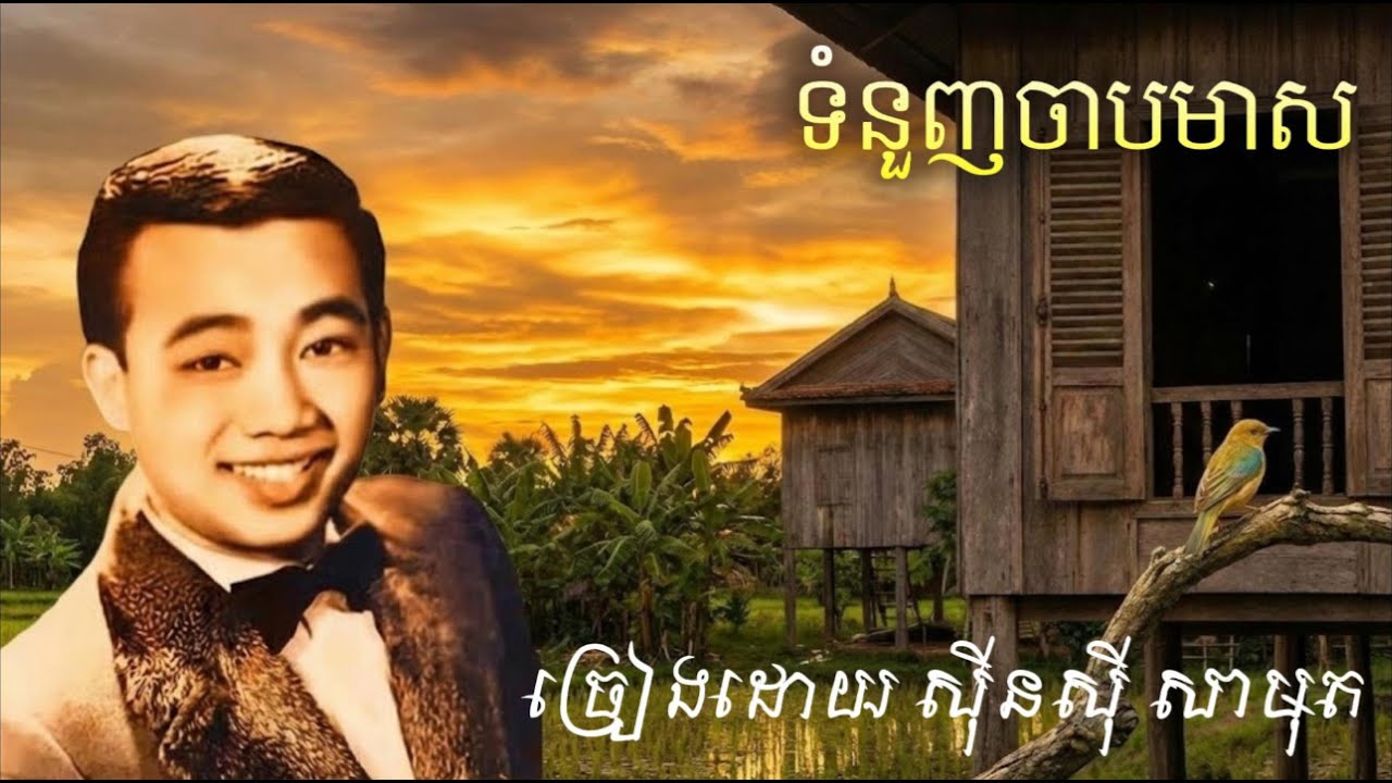 ទំនួញចាបមាស ច្រៀងដោយ សុីនសុី សាមុត Cover Song English 2025