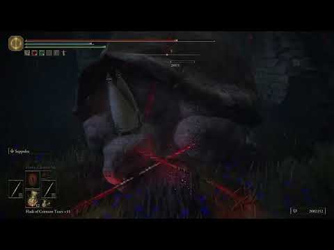Elden Ring, I Killed Pope Turtle So You Don't Have to