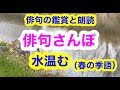 【俳句さんぽ・第56回】季語との意外な組み合わせが面白い！#俳句#俳句鑑賞#俳句朗読