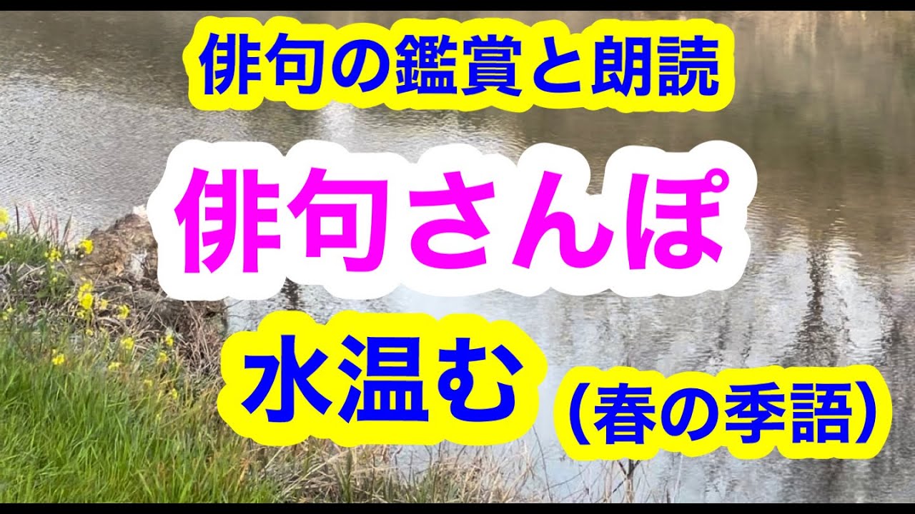 【俳句さんぽ・第56回】季語との意外な組み合わせが面白い！#俳句#俳句鑑賞#俳句朗読
