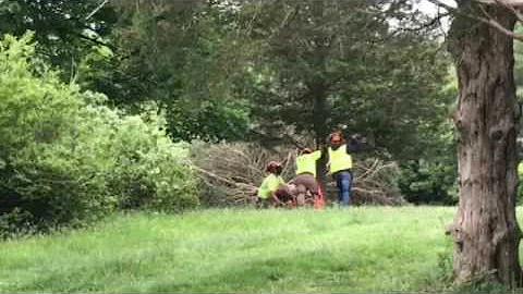 Crews cut trees on landowner's property as owner f...