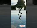 لحظه بمب باران جنگنده هوایی