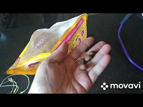 самая лучшая приманка для мышеловки. - YouTube
