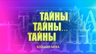 Тайны, тайны… тайны. Московские пробки. Дальтонизм. Фотобиотехнологии.