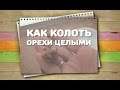 Как колоть орехи целыми - любимый способ Хитрости Жизни