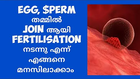 Egg and $perm joining Symptoms Malayalam