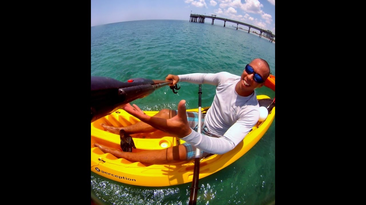 Spearfishing Fort Lauderdale YouTube