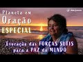 Evocação das FORÇAS SUTIS para a PAZ do MUNDO - Planeta em Oração Especial - 25/05 19h