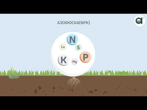 Комплексные удобрения NPK