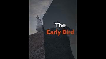 Mass Markets Vertical Early Bird Jobs Recruiting Video (15 Seconds)