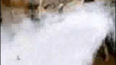 once a ranger amv super legends