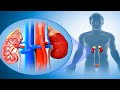 Look Out For These Symptoms Of Kidney Failure, You Need To Know To Control Them!