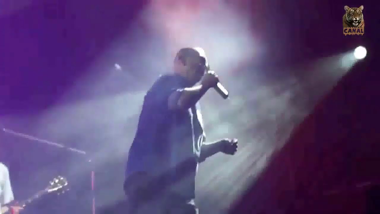 Indio Solari - El regreso de Mao