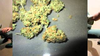 The Higher Channel Super Lemon Haze Blunt Review TheHigherChannel