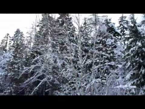 A video tour of 347 Pigeon Hill Road in Steuben, Maine. 