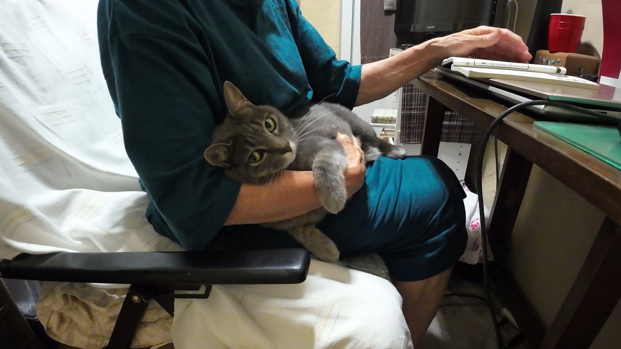 A Happy Day with My Affectionate Cat Who Loves Staying Close to