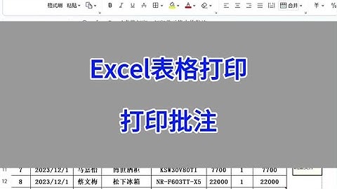 Excel表格打印：打印单元格中的批注。#wps #excel #办公技巧