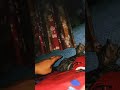 #cat #kitten Cat Playing #tigerCat  #tiger #pets #viraladda  #viral #playingcats #cutes #persiancat