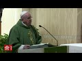 Popiežius: tikri krikščionys eina Jėzaus nusižeminimo keliu