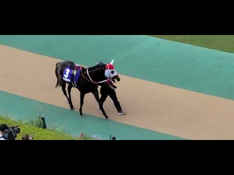 2022/10/30 東京 天皇賞(秋) パンサラッサ