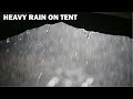 Deep Sleep in Tent with Heavy Rainstorm & Thunder Sounds - Soothing Rain Sounds for Sleeping