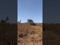 #shorts #viral #trending #youtubeshorts #short