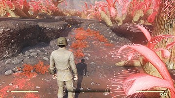 Fallout 76 Part 79: The South of West Virginia (No Commentary)