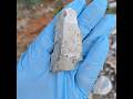 Archaic scraper #ancientcivilizations #artifacts #native #ancienthistory #texas #tips #explore the