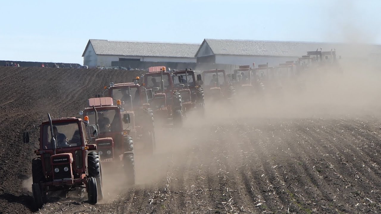 13 Volvo BM Tractors Ploughing Together in The Same Field | Volvo BM 700 & 814 & More | DK Agri