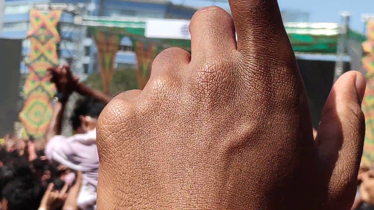 Holi 2019| Sunburn| Dj snake