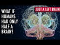 What If Humans Only Had A Left Brain? | Unveiled