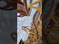 Riding the Chupacabra! #sixflagsfiestatexas #rollercoaster #amusementpark #themepark