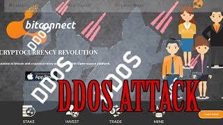 BITCONNECT DDOS ATTACKED
