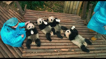 PANDAS - Join :15 (Now Playing)