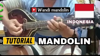 Tutorial mandolin